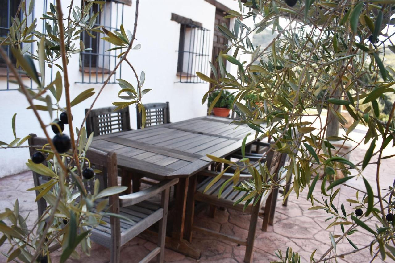 קולמנאר Casa Kisi Cottage, Rural Boutique Bed & Breakfast מראה חיצוני תמונה